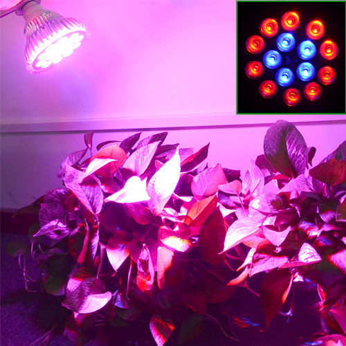full spectrum led grow lights e27 lampada led ac85 - 265v growth led lamp for flower plant hydroponic garden greenhouse
