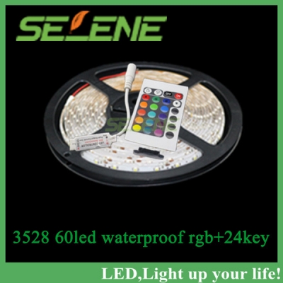 5m rgb waterproof led strip 3528 smd dc12v 5m 300led +24key mini remote control led controller for home decoration [smd3528-8615]