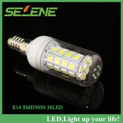 5ps/lot ultra bright smd 5050 e14 36led 7w 580lms led corn lamp bulb lights white or warm white ac220v-240v bulb [smd5050-8685]