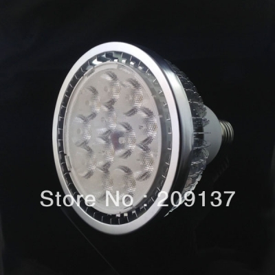 sell e27 par38 led 12x2w 24w par30 led light lamp super bright outdoor light warm white &cold white for choosing